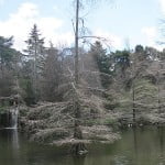 El Retiro Park
