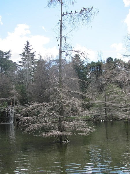 El Retiro Park