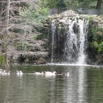 El Retiro Park