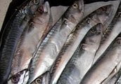 Seafood in Madrid