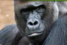 Zoo Madrid