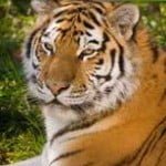 Zoo Madrid